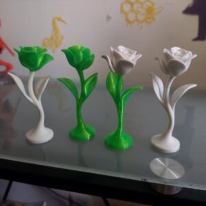 Rosa Verde