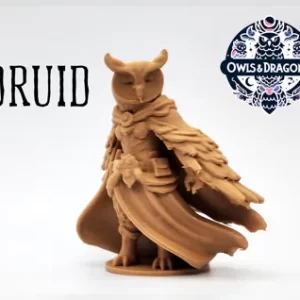 Coruja Druida