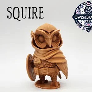 Coruja Escudeira