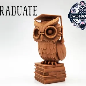 Coruja Graduada