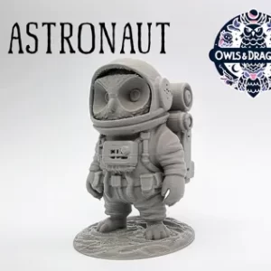 Coruja do Espaço