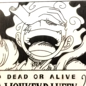 Placas de Procurados de One Piece